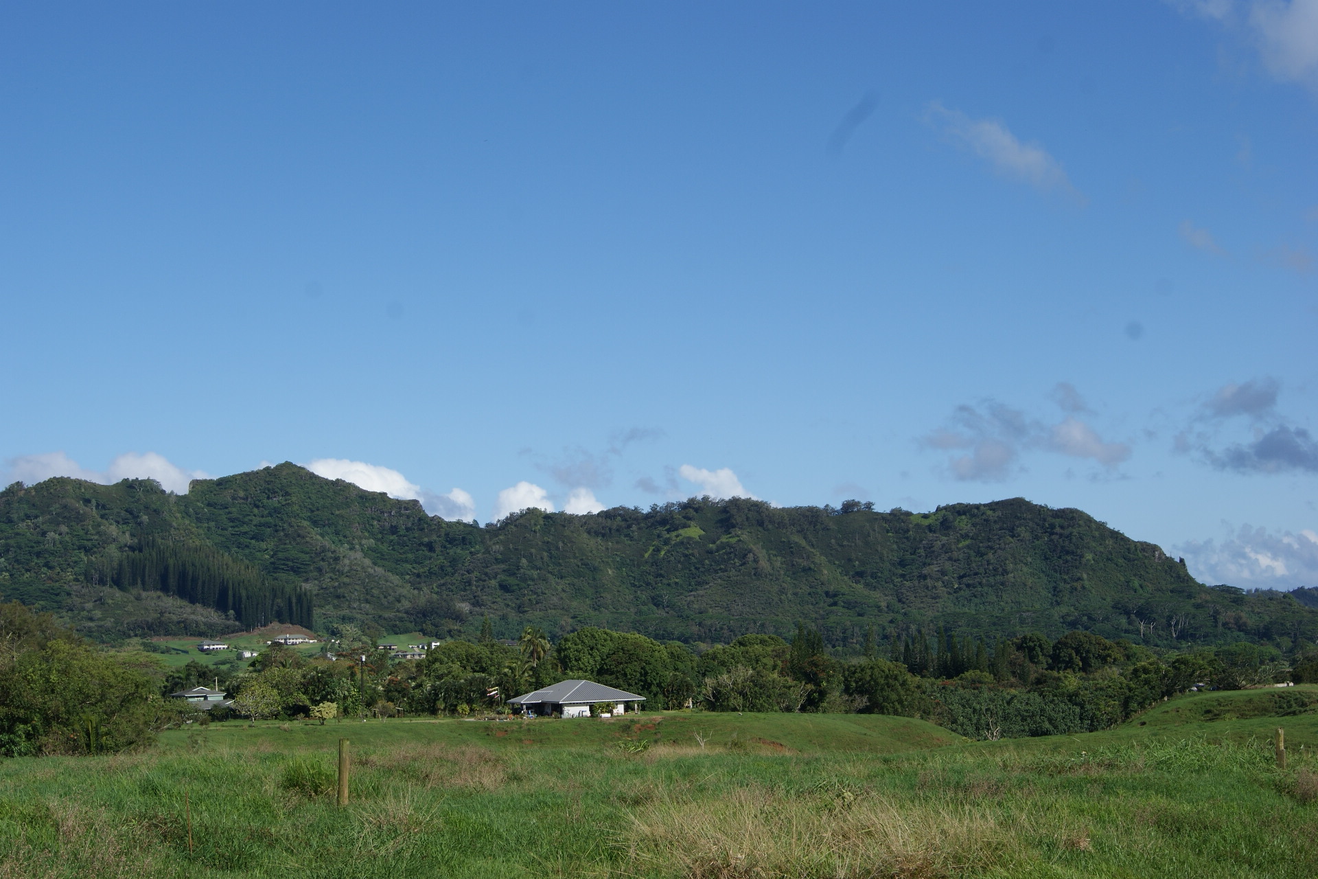 6555 Olohena Road Kapaa, HI 96746 - Photo 3 of 13