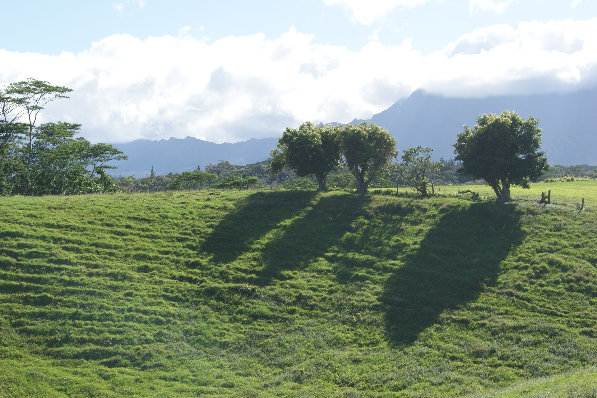 6555 Olohena Road Kapaa, HI 96746 - Photo 4 of 13 a view of a lush green space
