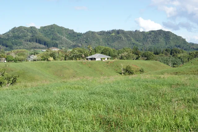 $2,000,000 | Olohena Road, Kapaa, HI 96746