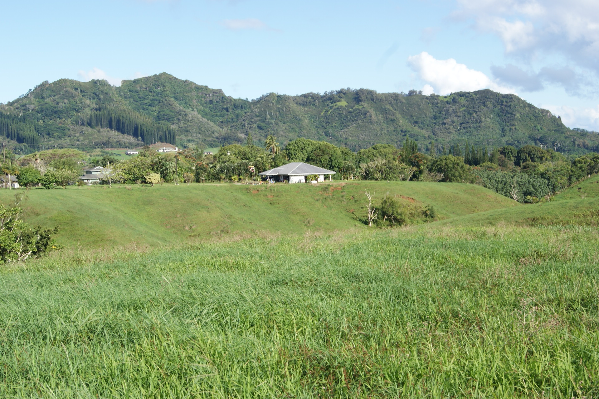 6555 Olohena Road Kapaa, HI 96746 - Photo 6 of 13 a view of a lush green hillside and houses