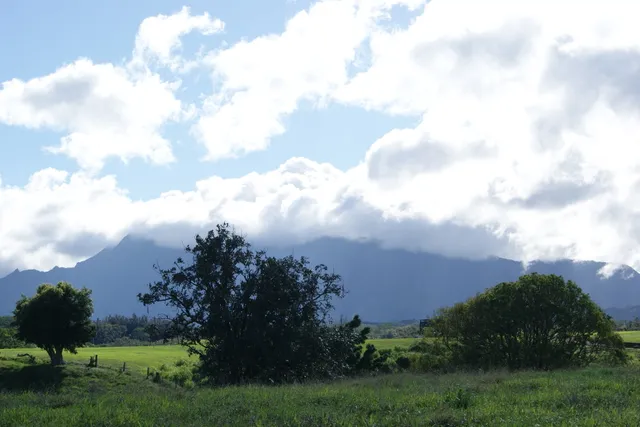 $2,000,000 | Olohena Road, Kapaa, HI 96746