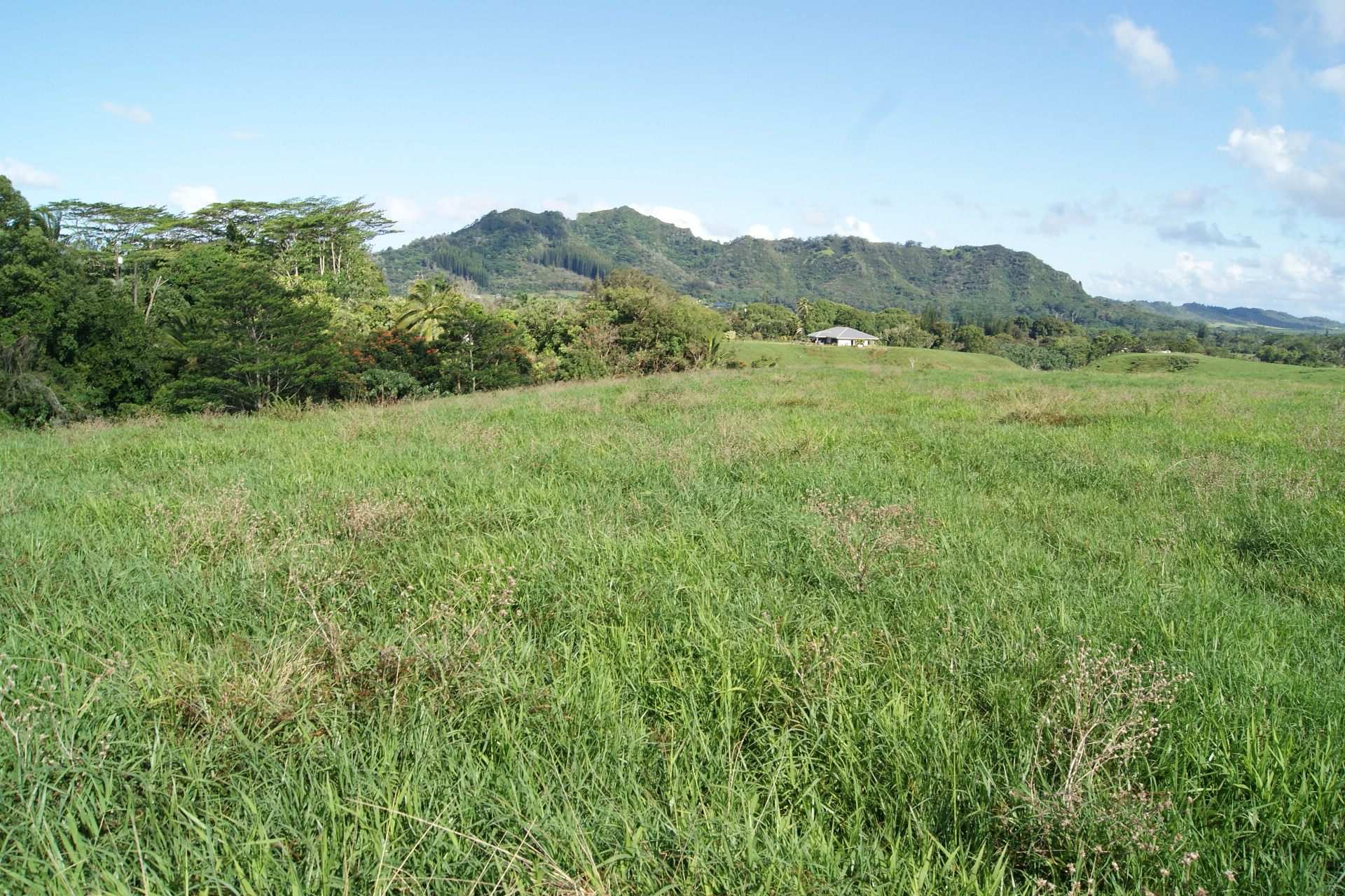 6555 Olohena Road Kapaa, HI 96746 - Photo 10 of 13 a view of a mountain range with lush green forest