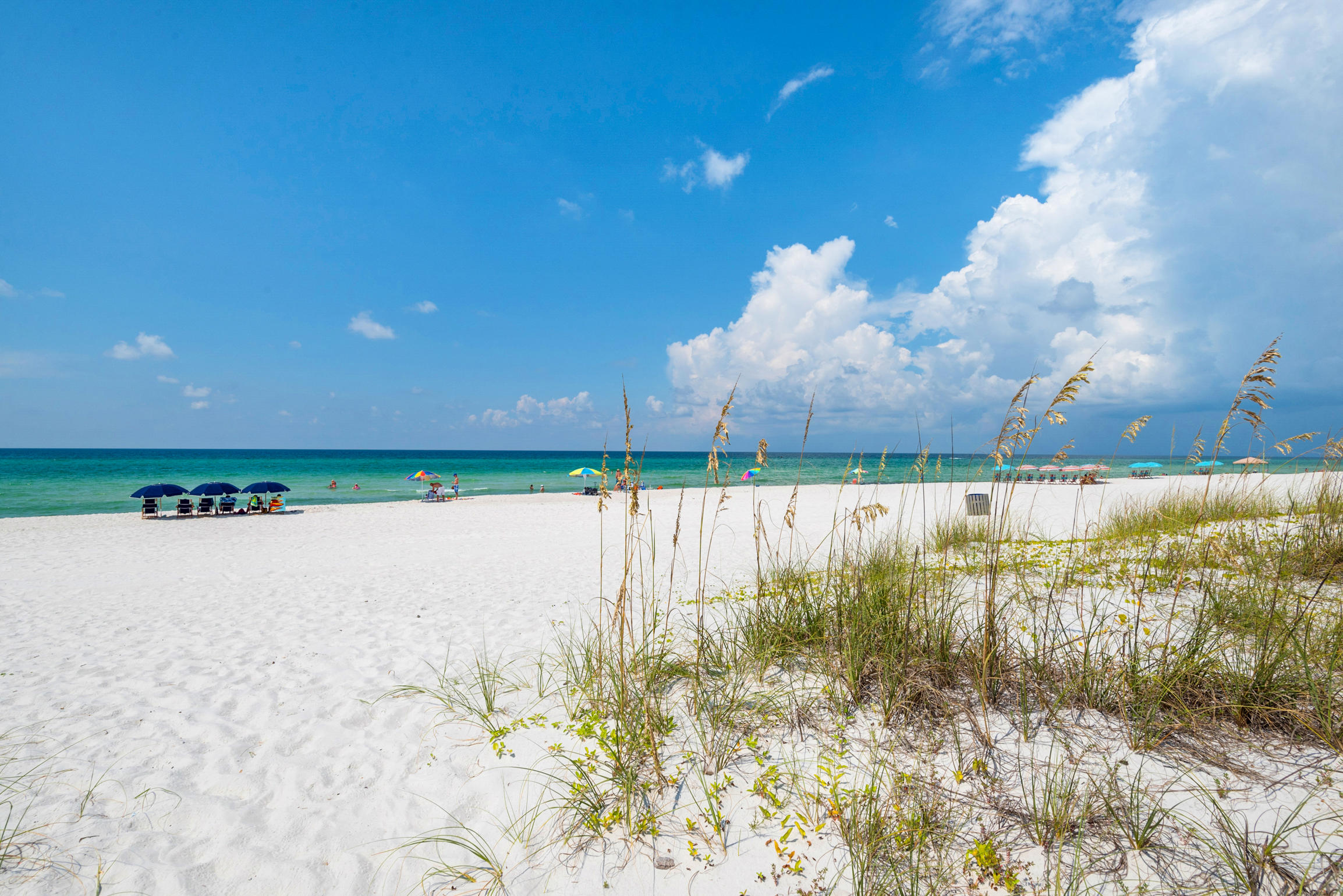 20521 Front Beach Road Panama City Beach, FL 32413 - Photo 5 of 63 Gallery Image 5