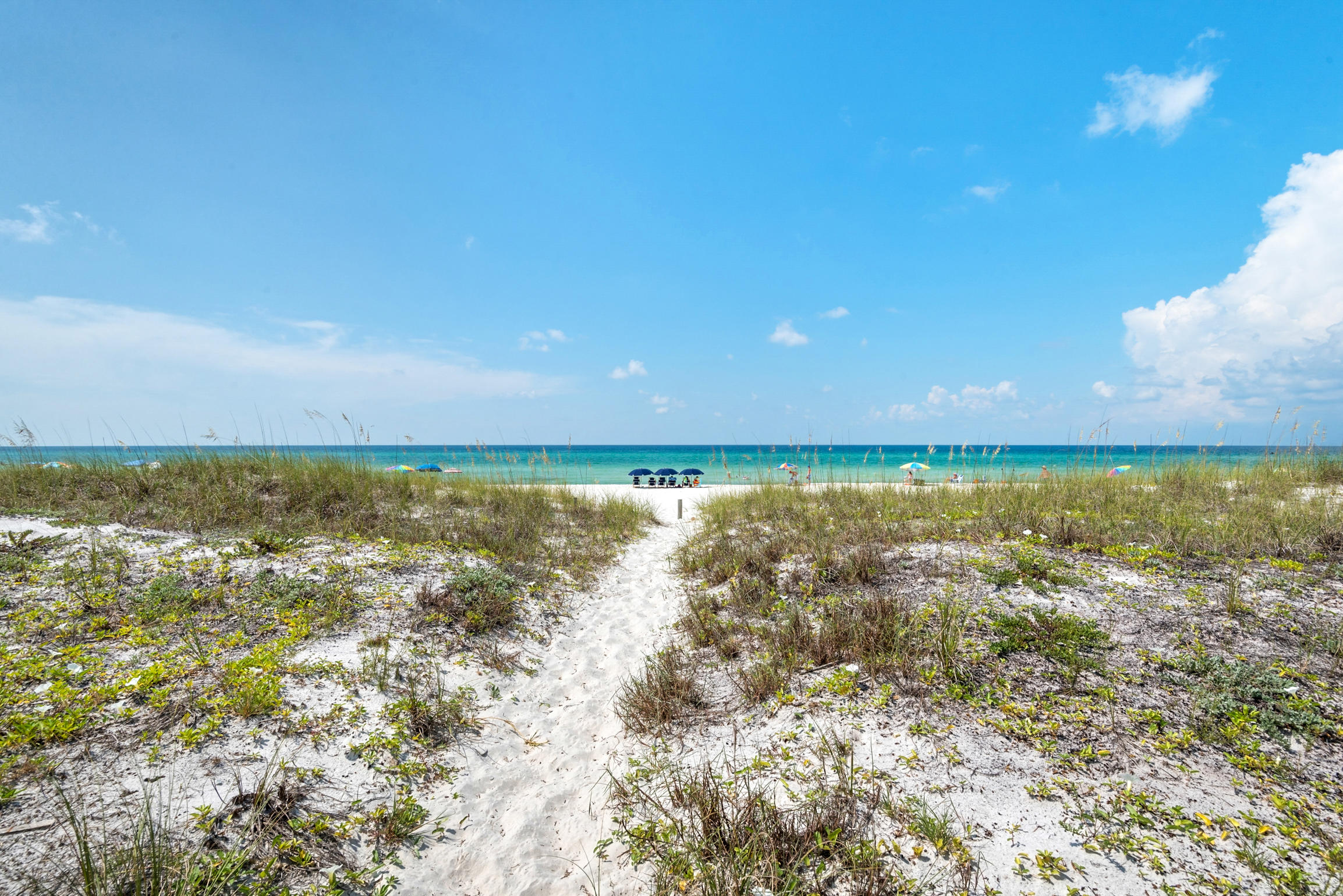 20521 Front Beach Road Panama City Beach, FL 32413 - Photo 42 of 63 Gallery Image 42
