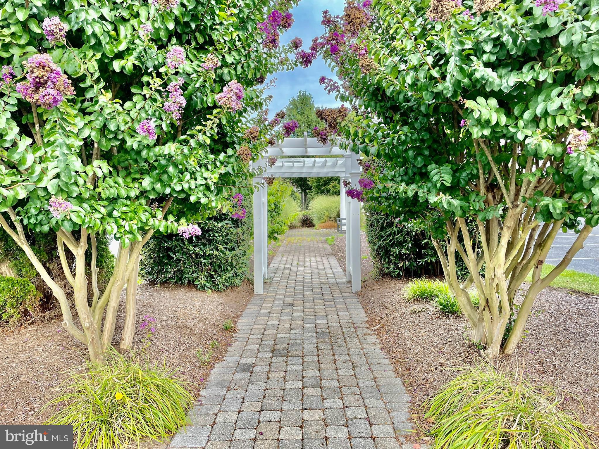 30611 Cedar Neck Road, Unit 2306 Ocean View, DE 19970 - Photo 31 of 37 a front view of a house with a yard