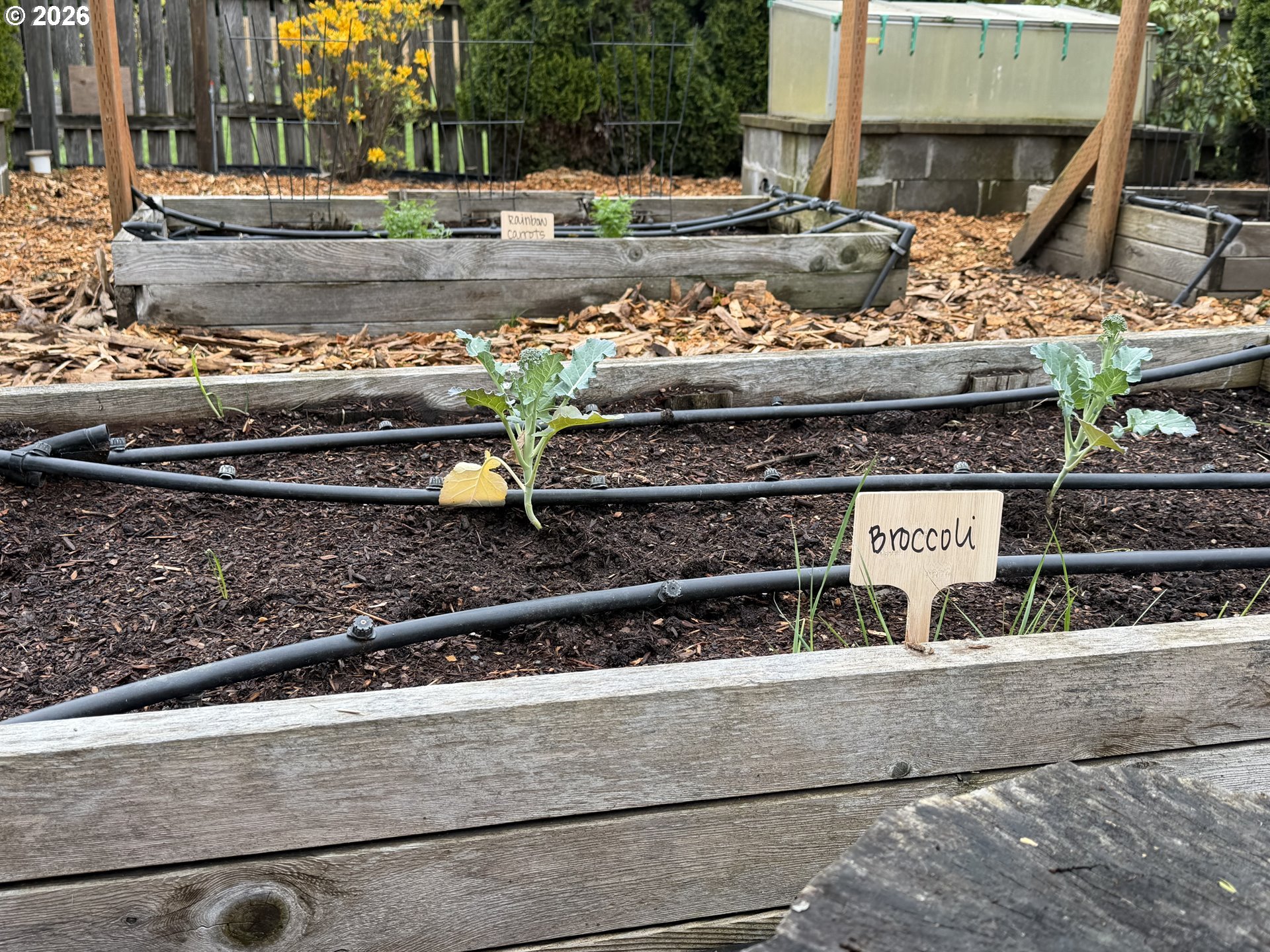 24950 Airport Road Northeast Aurora, OR 97002 - Photo 37 of 44