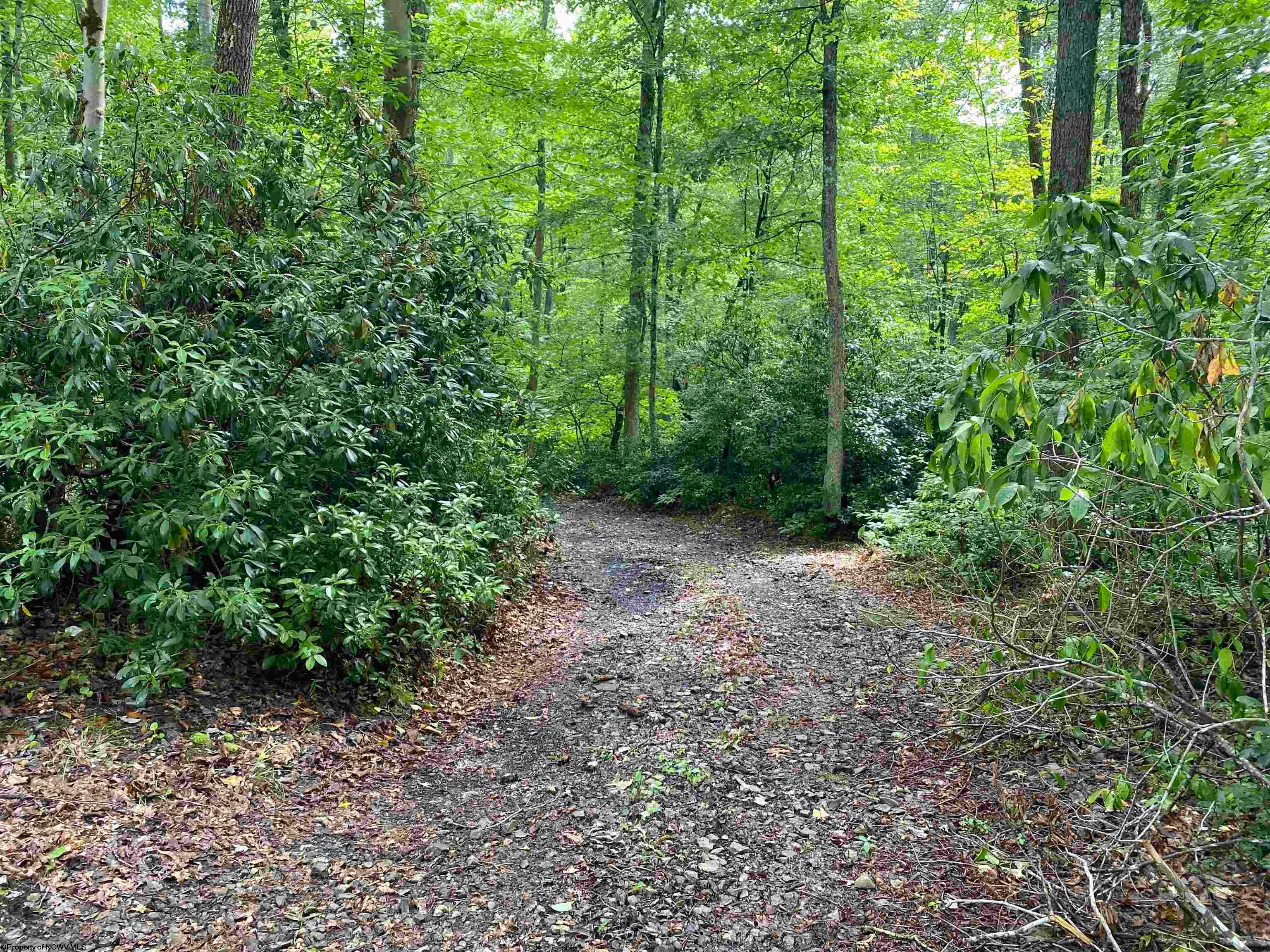 3658 Hanging Run Road Belington, WV 26250 - Photo 23 of 35 Gallery Image 23