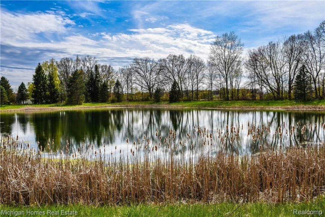 5302 West Dodge Road Clio, MI 48420 - Photo 12 of 77 I'M IN LOVE WITH THIS POND!