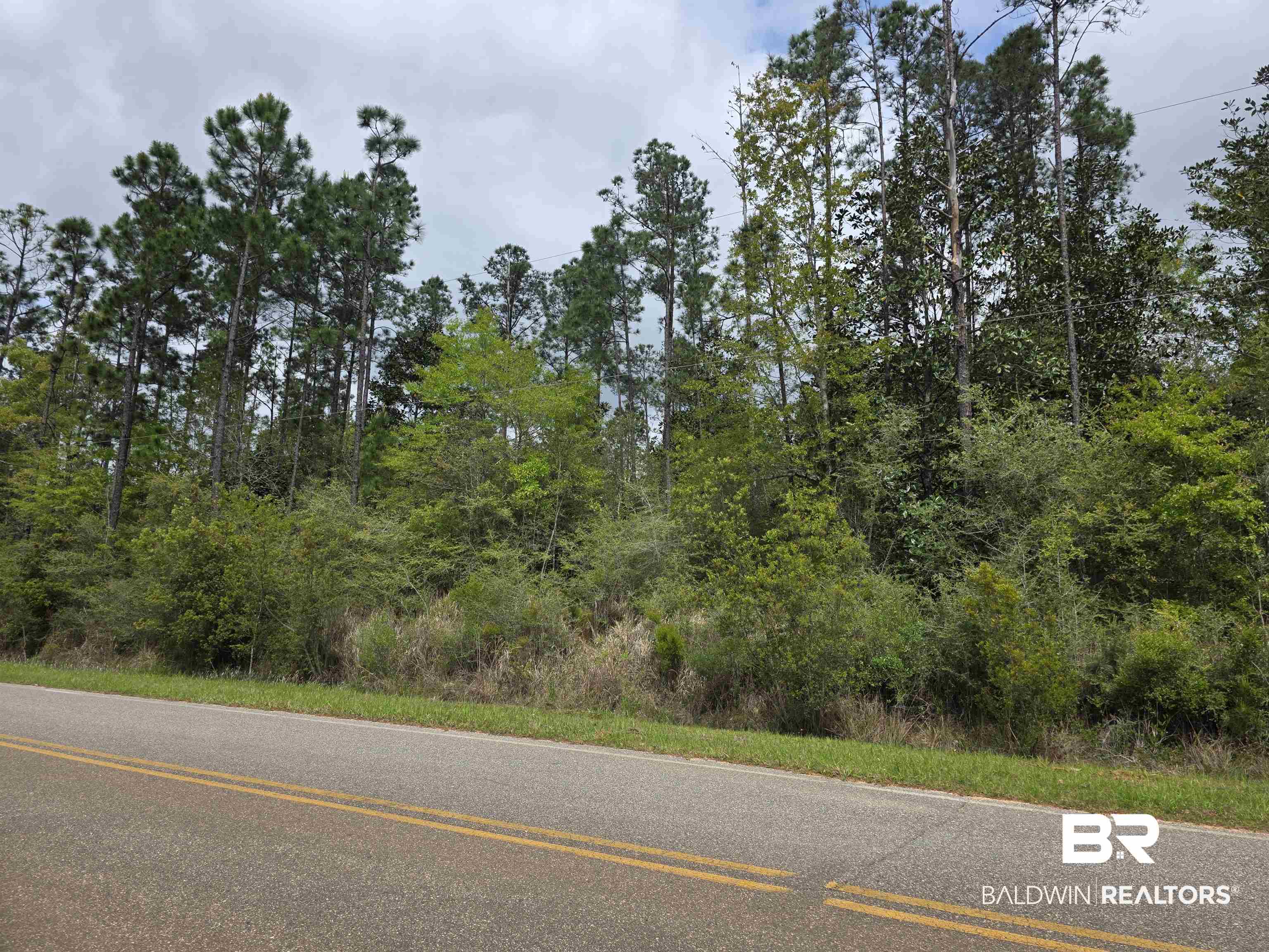 11631 Red Hill Rd Extension Bay Minette, AL 36507 - Photo 16 of 18 View of asphalt street
