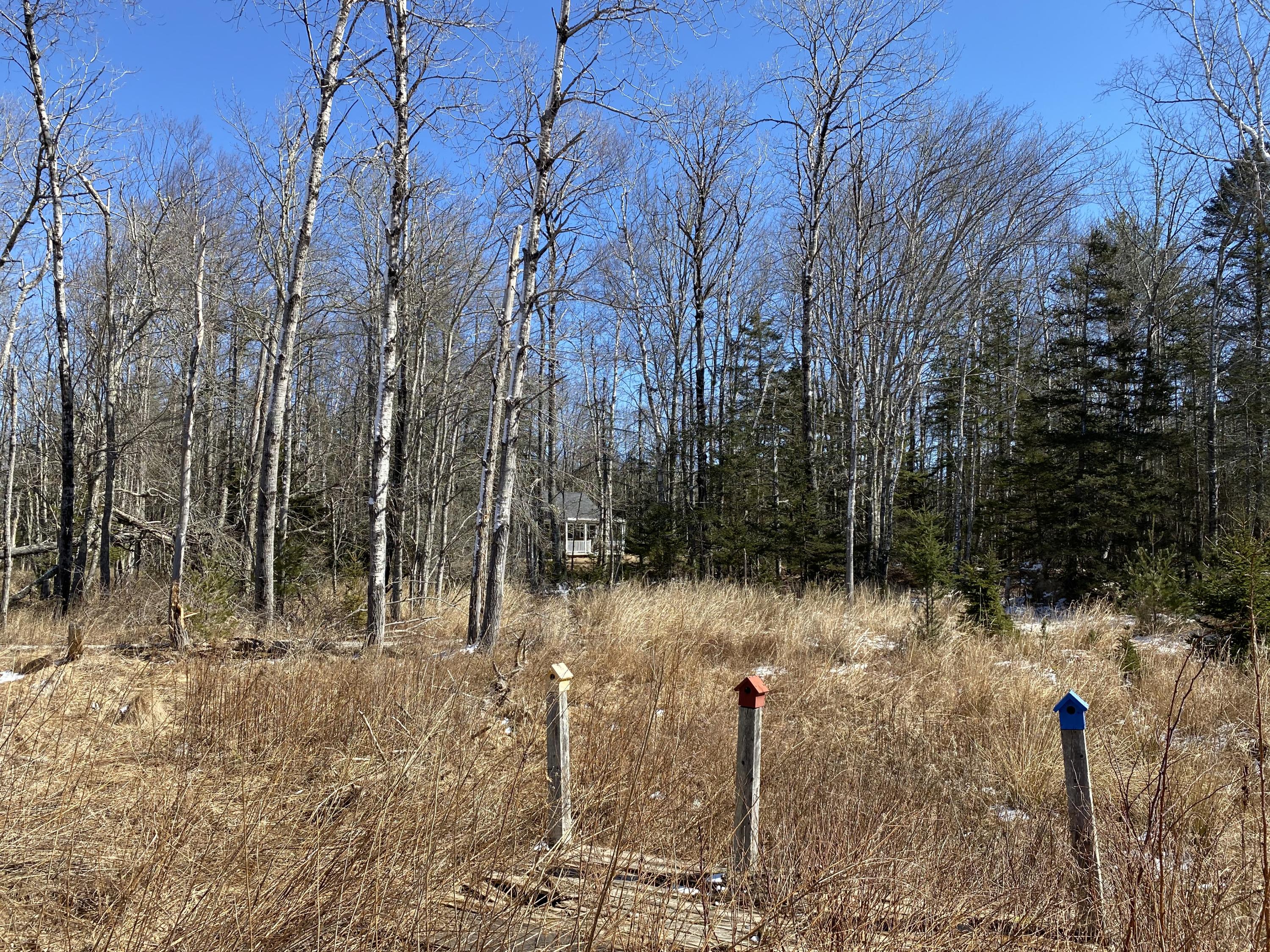 1099 Meadow Pond Road Islesboro, ME 04848 - Photo 41 of 44 Backyard