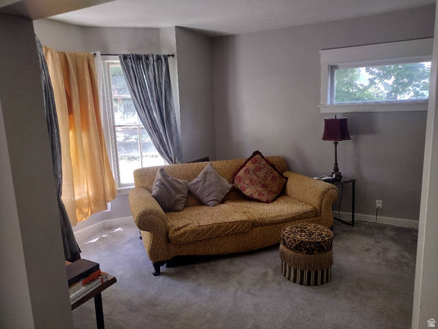 157 West 500 South Logan, UT 84321 - Photo 37 of 38 Carpeted room with a bay window featuring a white frame and light gray walls