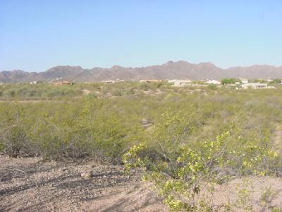 3555 North Grannen Road Tucson, AZ 85745 - Photo 1 of 3