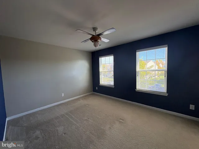 a view of a forest with trees
