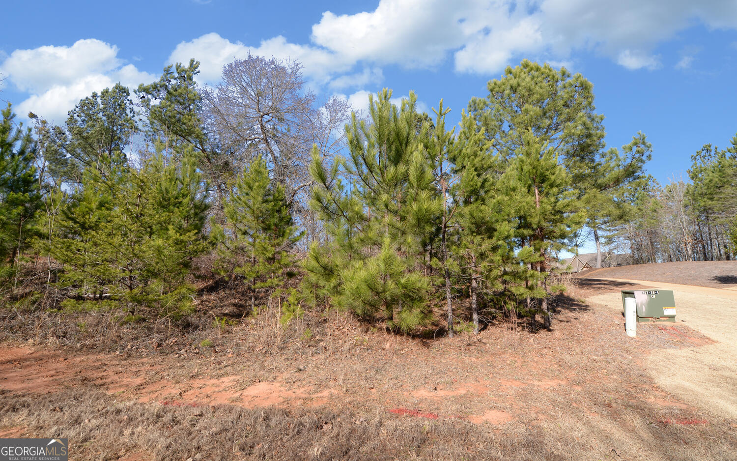 334 Edgewater Trail South Toccoa, GA 30577 - Photo 6 of 13