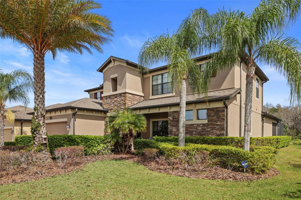 1670 Cameron Court New Port Richey, FL 34655 - Photo 44 of 45