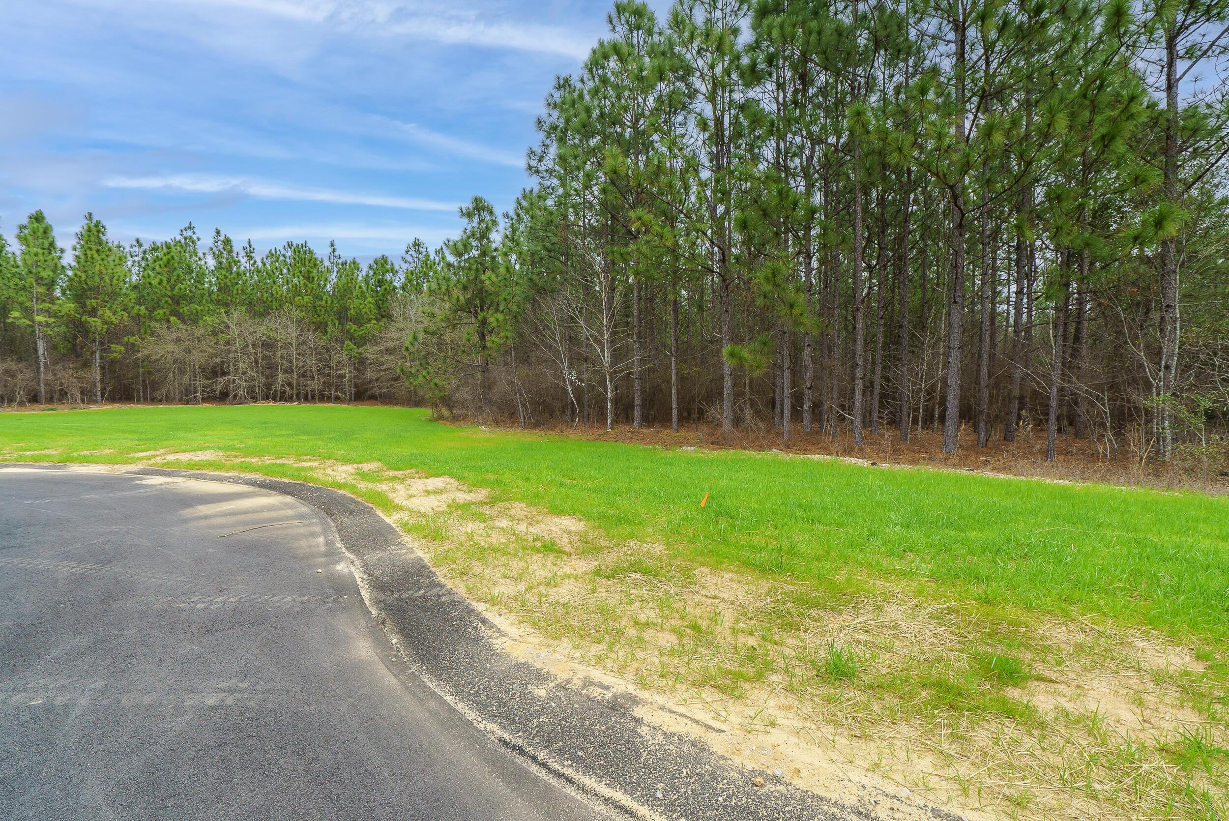 Lot 4-1 Simonside Court Aiken, SC 29803 - Photo 4 of 31