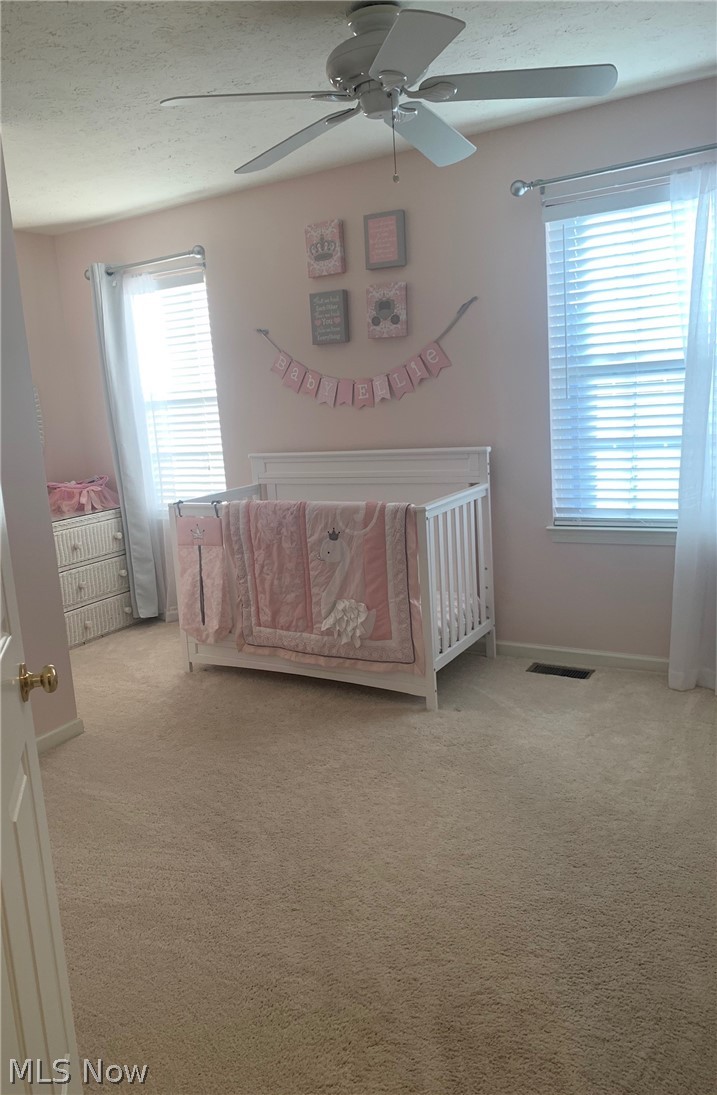 5239 Otten Road North Ridgeville, OH 44039 - Photo 11 of 22 Gallery Image 11