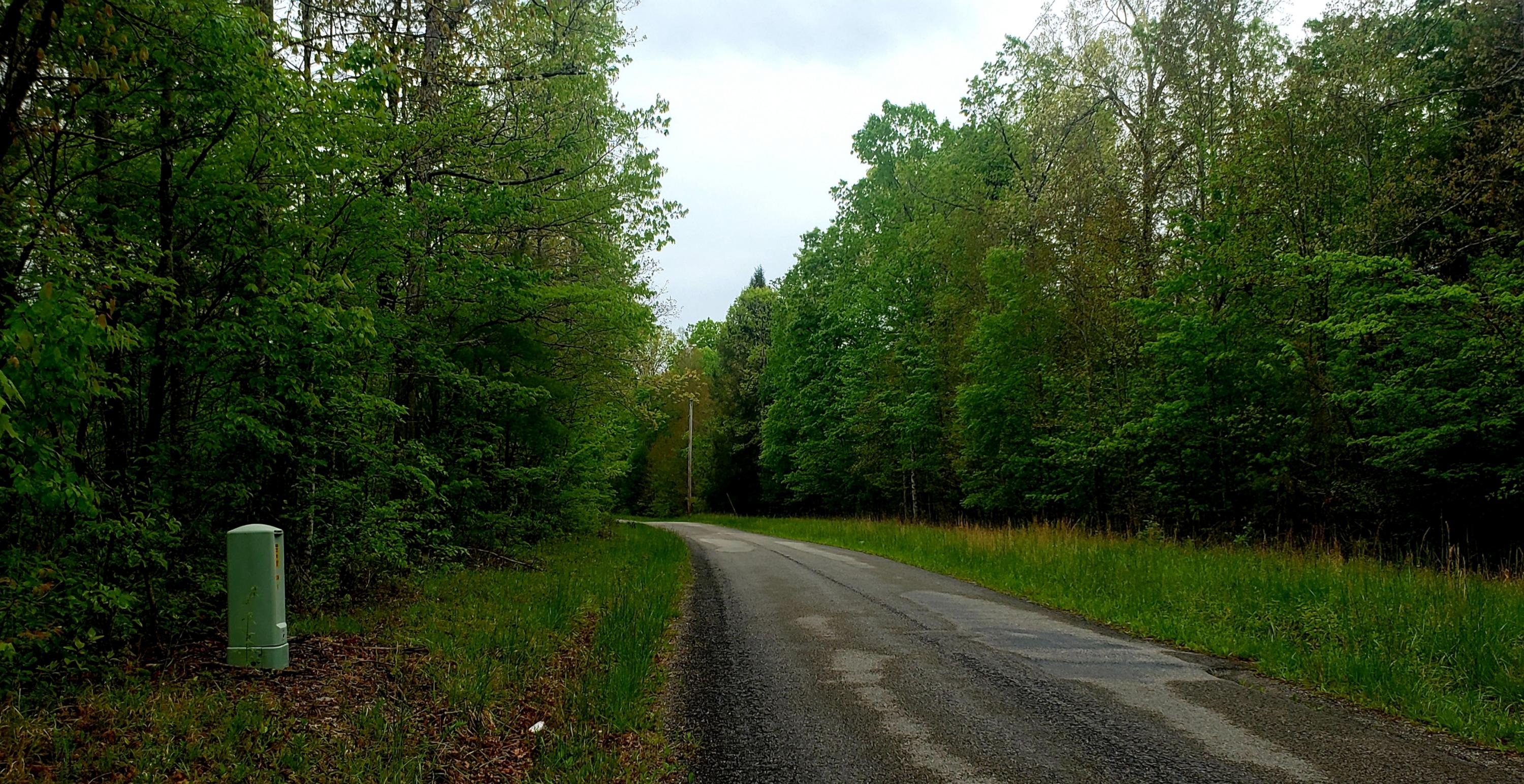 Lot 6 Cole Place Road Allardt, TN 38504 - Photo 1 of 1 Coleplaceb