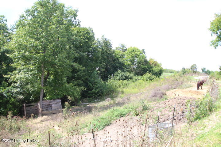 4645 Mink Run Road Frankfort, KY 40601 - Photo 29 of 38 IMG_7007