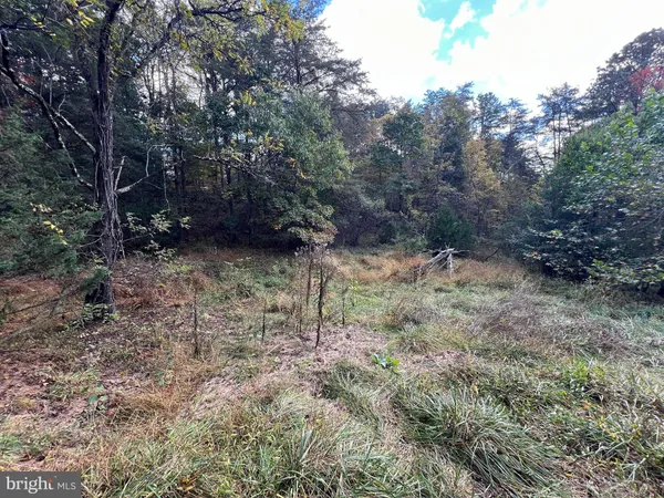 a view of a yard