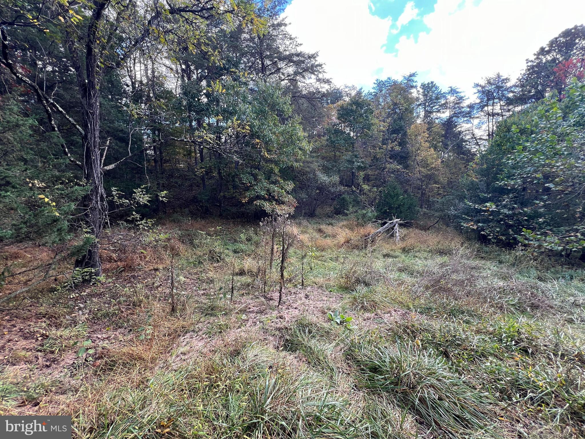 Lot 6 Deep Run Hollow Road Delray, WV 26714 - Photo 1 of 18 a view of a yard