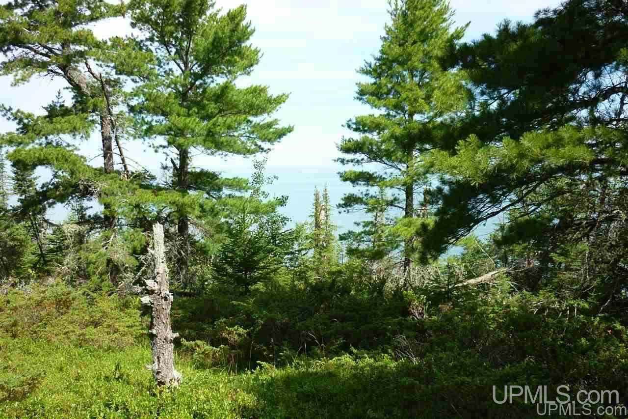 15-16 Horizon Road Copper Harbor, MI 49918 - Photo 5 of 9