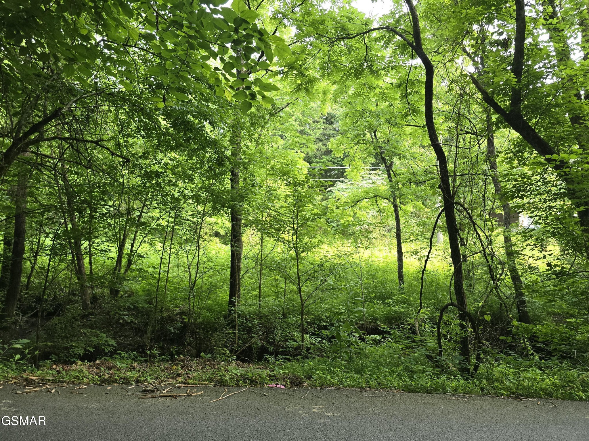 8 McCarter Hollow Road Sevierville, TN 37862 - Photo 15 of 26