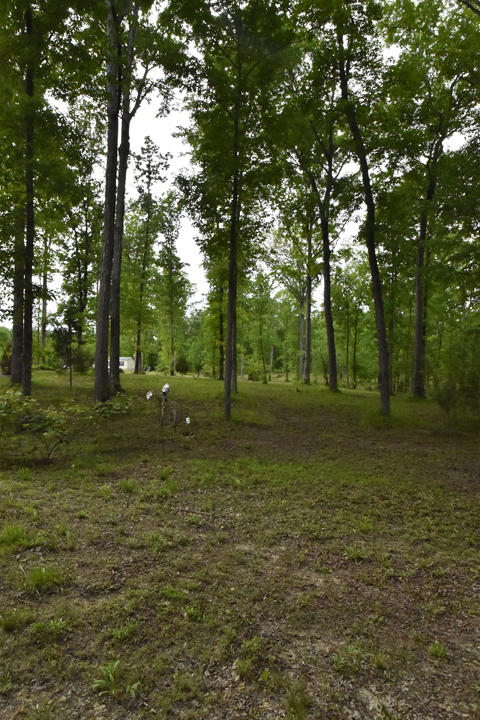 633 Wilson Road Chatsworth, GA 30705 - Photo 23 of 26 22