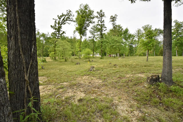 633 Wilson Road Chatsworth, GA 30705 - Photo 24 of 26 24