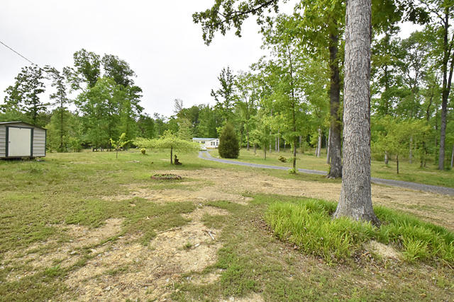 633 Wilson Road Chatsworth, GA 30705 - Photo 25 of 26 27