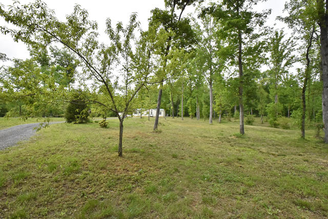 633 Wilson Road Chatsworth, GA 30705 - Photo 4 of 26 28