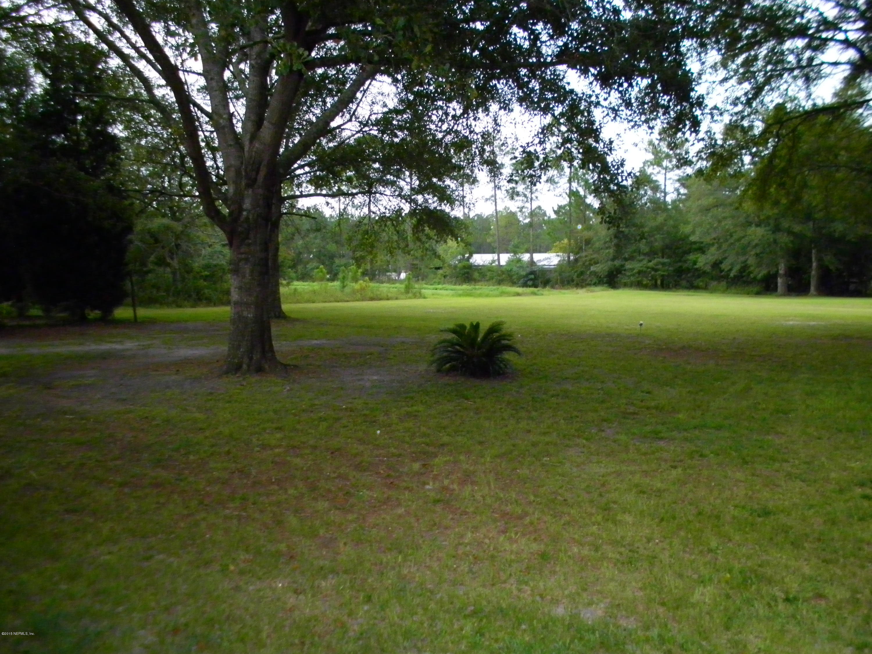 More back yard