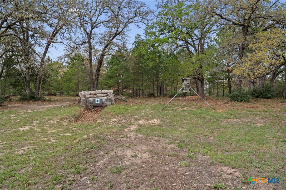 836 Cottle Town Road Smithville, TX 78957 - Photo 45 of 47 a childrens park with lots of trees