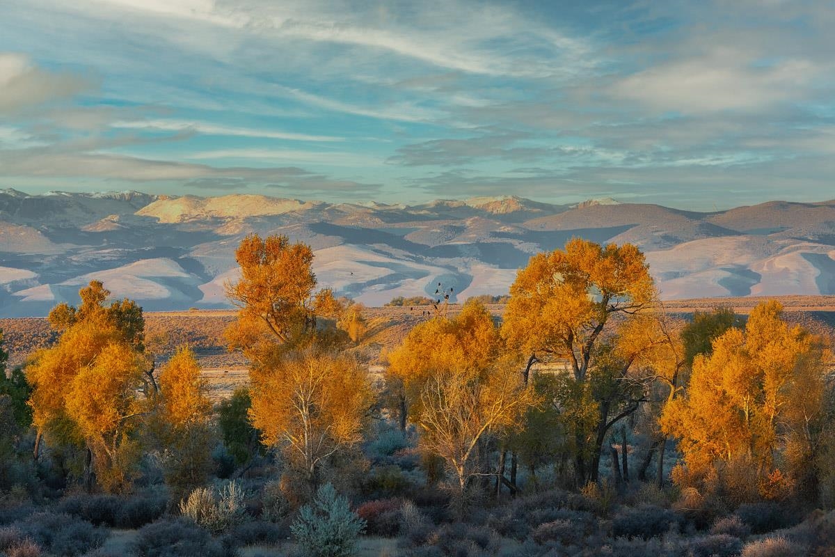 3335 Riverside Drive Riverton, WY 82501 - Photo 46 of 50