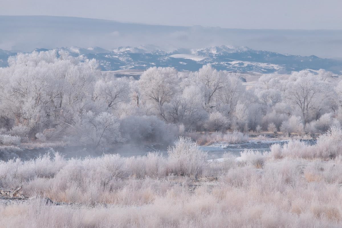 3335 Riverside Drive Riverton, WY 82501 - Photo 50 of 50