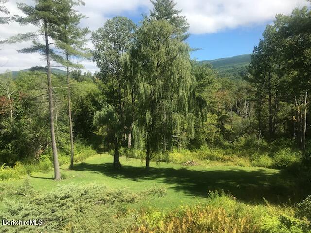 300 Syndicate Road Williamstown, MA 01267 - Photo 41 of 46 IMG_3413