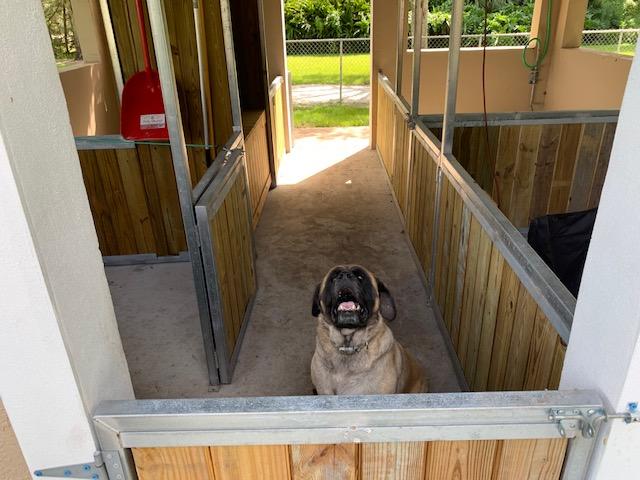 11298 Muller Road Fort Pierce, FL 34945 - Photo 55 of 85 IMG_4262