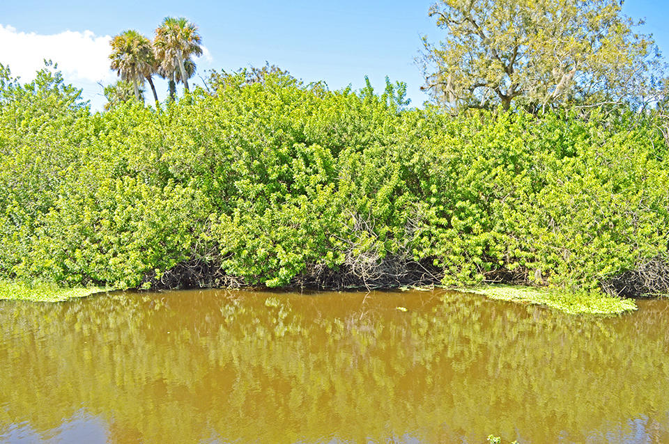 11298 Muller Road Fort Pierce, FL 34945 - Photo 69 of 85 DSC_0617