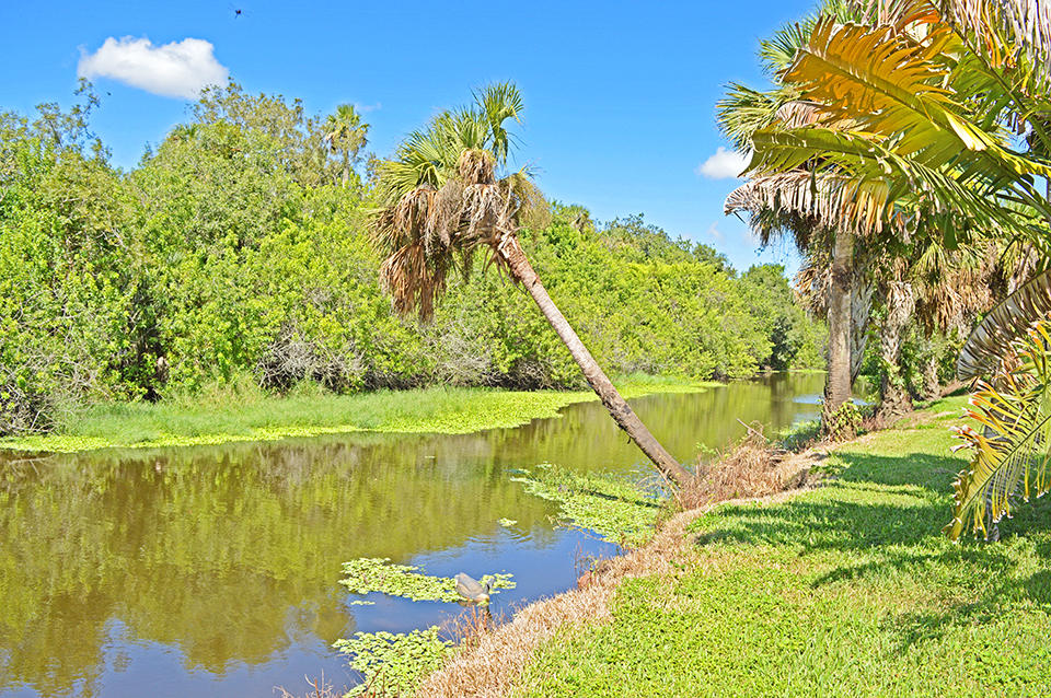 11298 Muller Road Fort Pierce, FL 34945 - Photo 70 of 85 DSC_0618