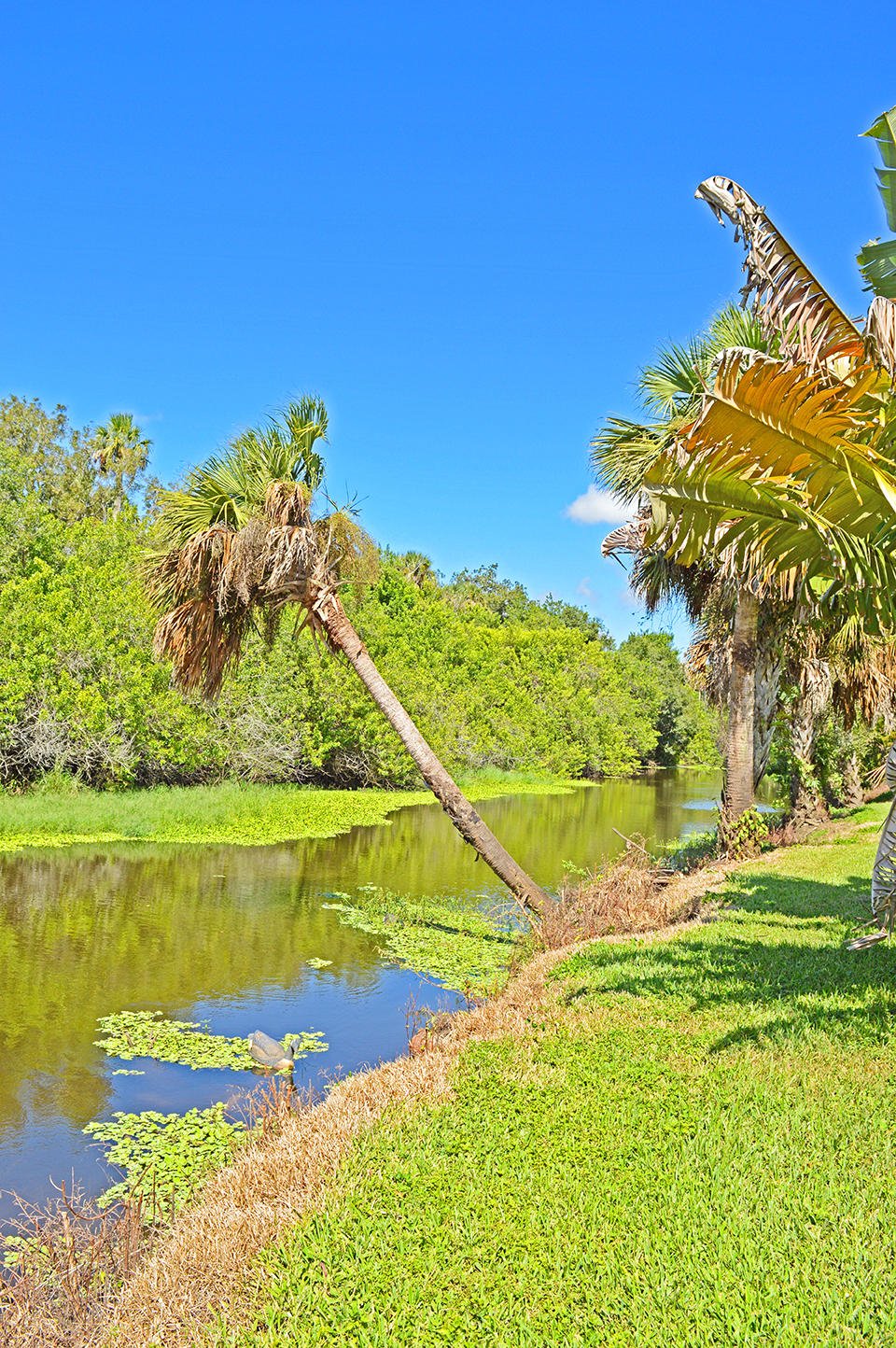11298 Muller Road Fort Pierce, FL 34945 - Photo 71 of 85 DSC_0619