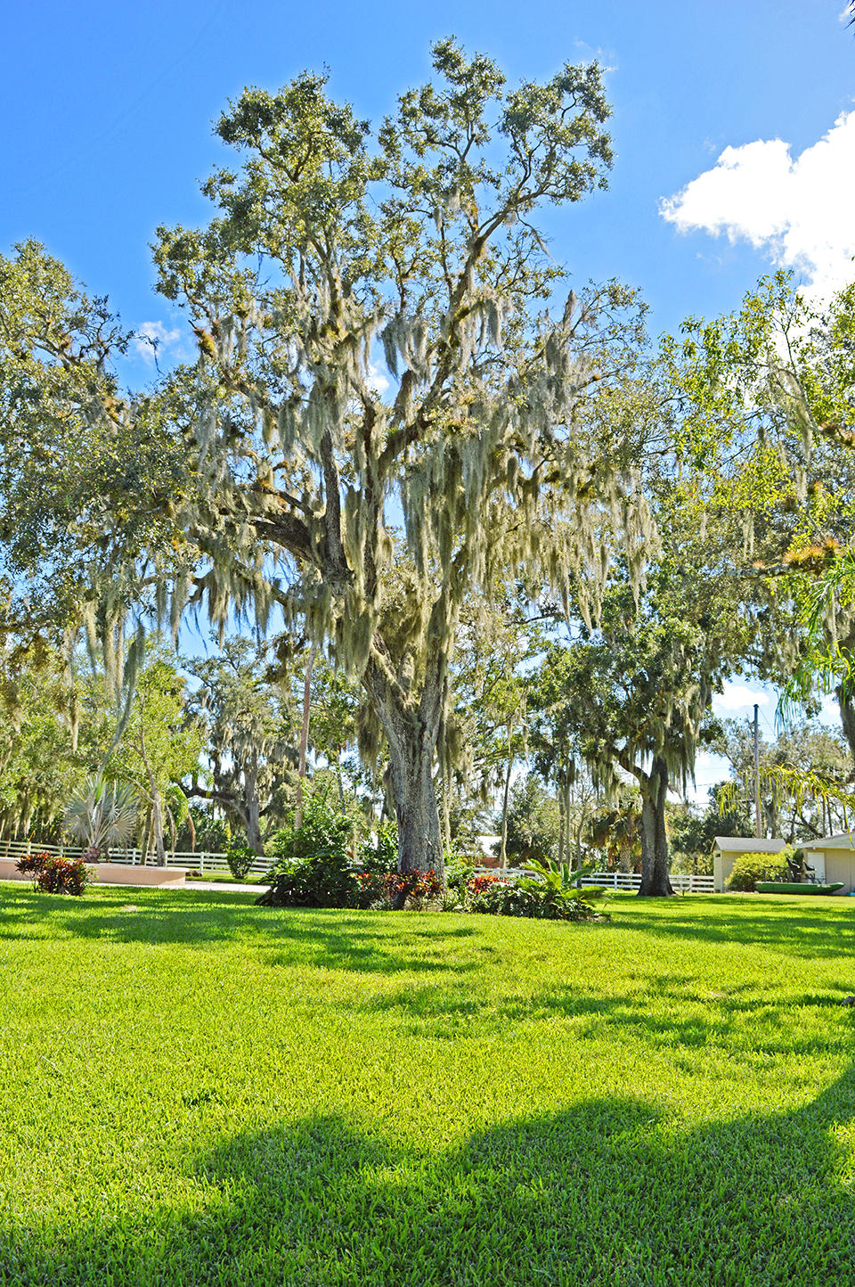 11298 Muller Road Fort Pierce, FL 34945 - Photo 72 of 85 DSC_0620