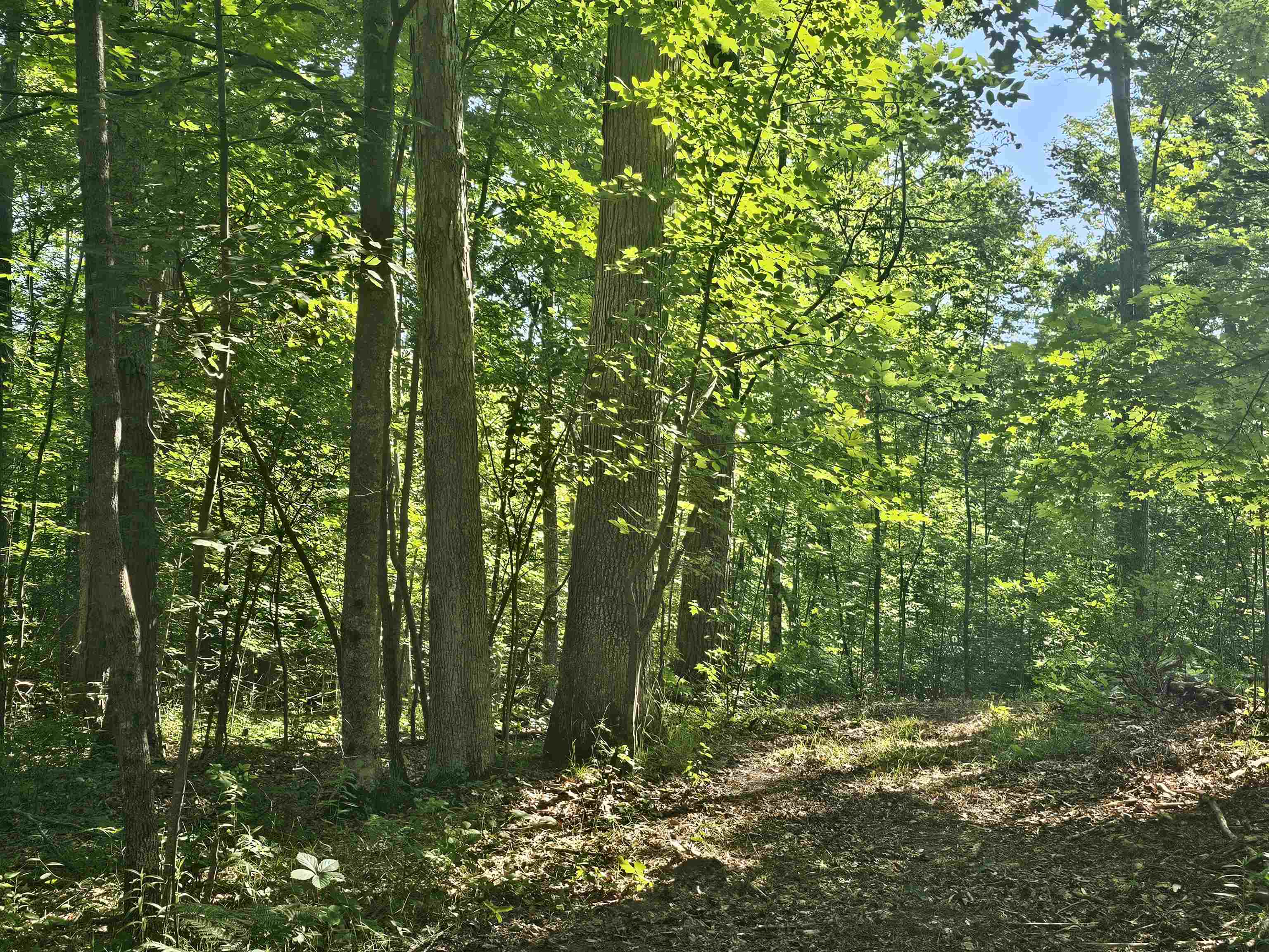 0 Barber Road Hale, MI 48739 - Photo 20 of 34