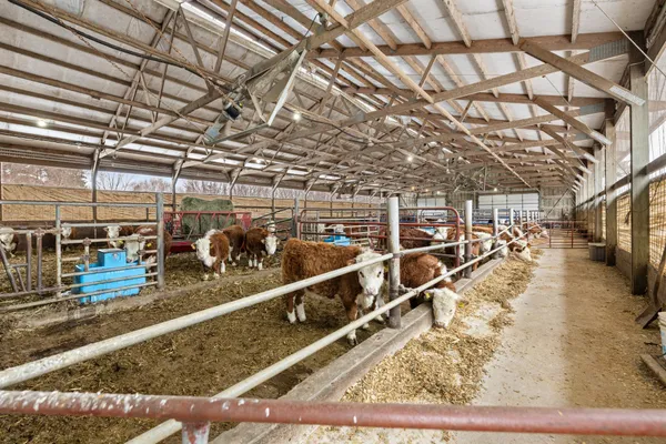 $2,989,000 | 2435 50th Avenue, Elk Mound, WI 54739