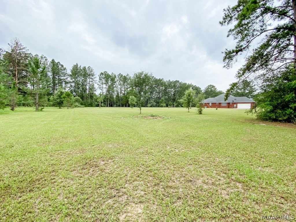 354 River Road Samson, AL 36477 - Photo 53 of 66 Gallery Image 53