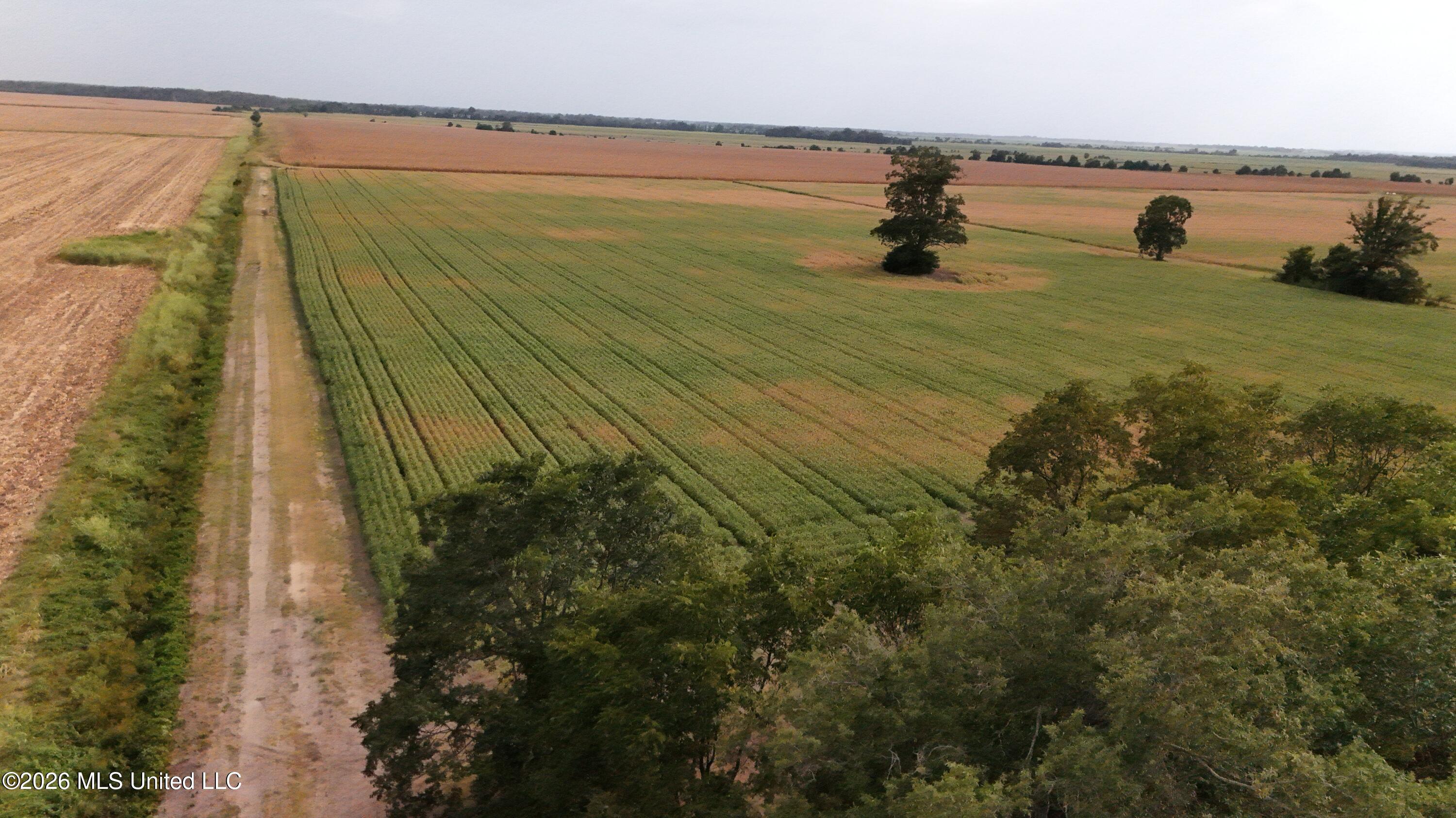 3342 Campbell Road Tutwiler, MS 38963 - Photo 1 of 25 DJI_20260820181826_0555_D