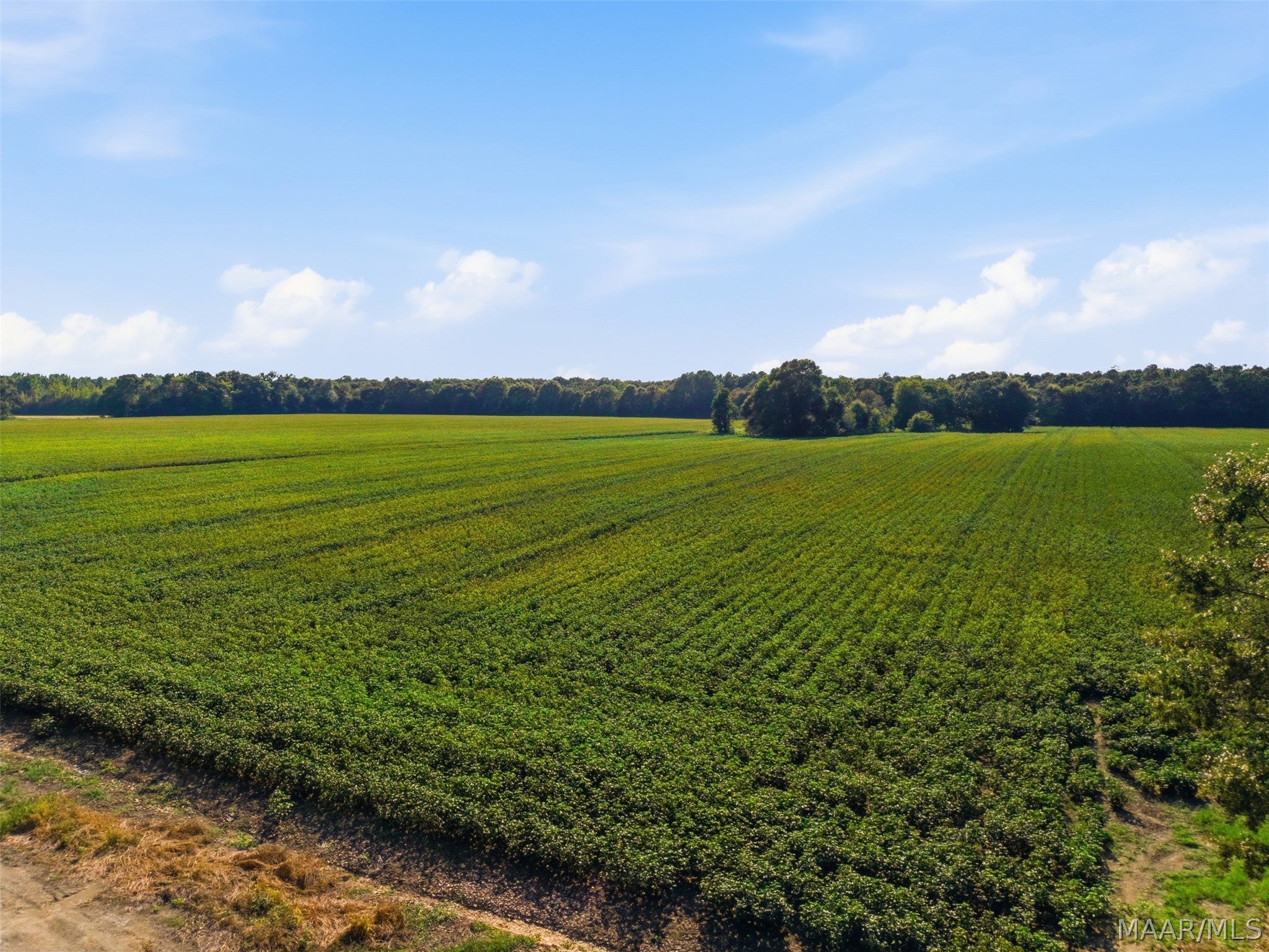 0 Scott Road Hazel Green, AL 35750 - Photo 10 of 10 Gallery Image 10