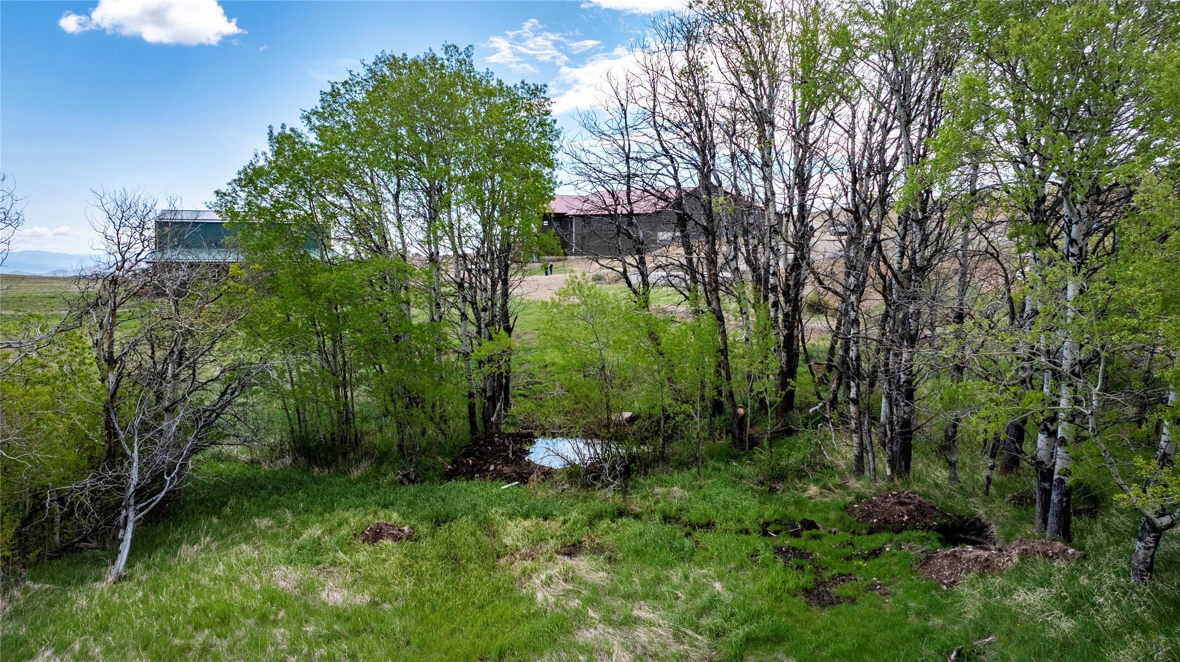 6860 Raven Road Helena, MT 59602 - Photo 5 of 94 Gallery Image 5
