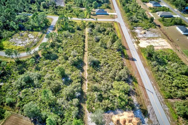 a view of a garden with a plant