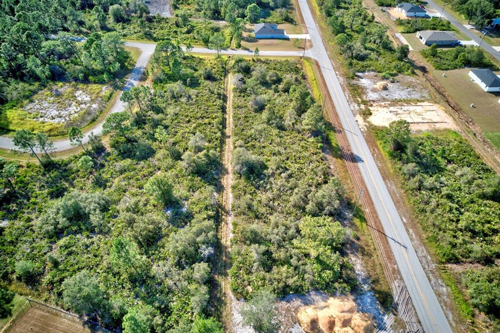 5316 Manati Avenue Sebring, FL 33872 - Photo 13 of 17 a view of a garden