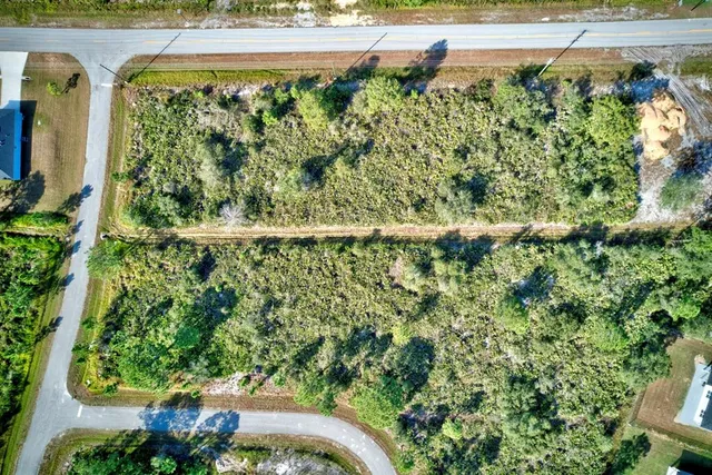 a close up of a yard